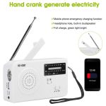 RD-638T Zweiband-Solarbetriebene AM/FM-Radio-Player-Taschenlampe mit Dynamo-Funktion – Bild 4