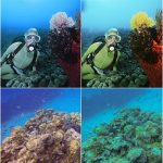 Für DJI Osmo Action 4 JUNESTAR Kameraobjektivfilter mit Gewinde, MCUV, CPL, ND8, ND16, ND32, ND64, ND1000, ND8PL, ND16PL, ND32PL, ND64PL, NIGHT, STAR, Streak Gold Drawing, Streak Blue Drawing, Macro 15X, Pink Diving Filter, Magenta Diving Filter... – Bild 7