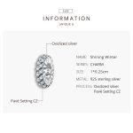 S925 Sterling Silber Shining Winter Zirkon Perlen DIY Armband Halskette Zubehör – Bild 4