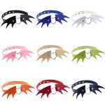 2 PCS European und American Punk Style Fashion Demon Wing Styling Lederhalskettenhalsband, zufällige Farblieferung – Bild 3