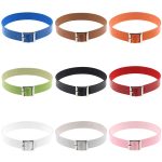 2 PCS Sweet Retro Harajuku Punkrock Lederhalsband Fashion Female Collar Bone Halskette, Random Color Delivery – Bild 2