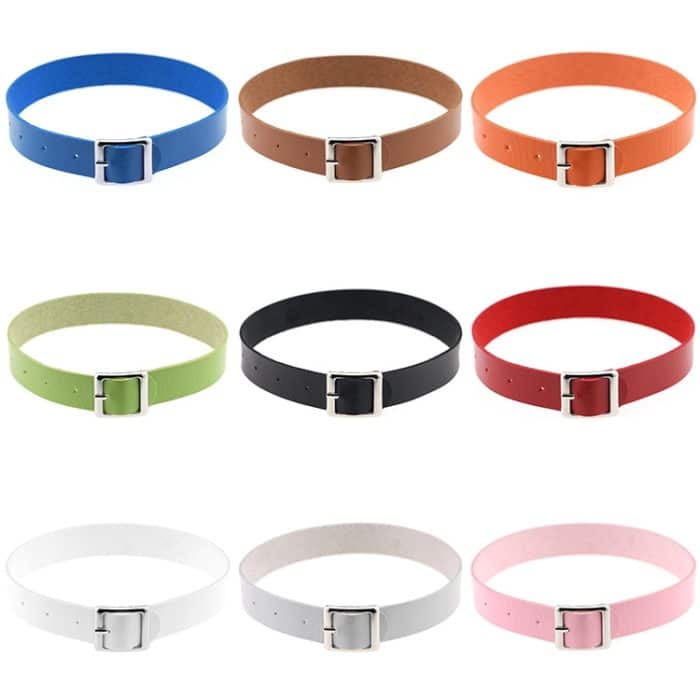 2 PCS Sweet Retro Harajuku Punkrock Lederhalsband Fashion Female Collar Bone Halskette, Random Color Delivery – Bild 2