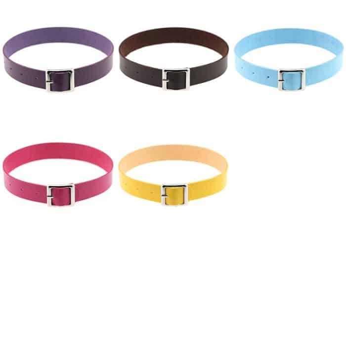 2 PCS Sweet Retro Harajuku Punkrock Lederhalsband Fashion Female Collar Bone Halskette, Random Color Delivery – Bild 3