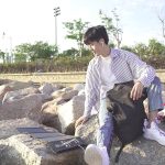 Haweel 28W Faltbares Solarpanel -Ladegerät mit 5V 3A Max Dual USB -Anschlüssen – Bild 12