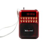 Tragbarer wiederaufladbarer FM-Radioempfänger-Lautsprecher, unterstützt USB/TF-Karte/Musik-MP3-Player