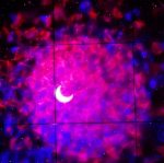 USB-Projektionslampe, LED-Gypsophila-Laserlicht, buntes rotierendes Nachtlicht, US/EU-Stecker – Bild 7