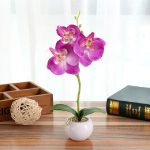 Dekorative Landschaftsgestaltung runder Topf drei Blumen Phalaenopsis Bonsai Simulation Topfpflanzen