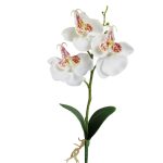 Dekorative Landschaftsgestaltung runder Topf drei Blumen Phalaenopsis Bonsai Simulation Topfpflanzen – Bild 4