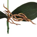 Dekorative Landschaftsgestaltung runder Topf drei Blumen Phalaenopsis Bonsai Simulation Topfpflanzen – Bild 5