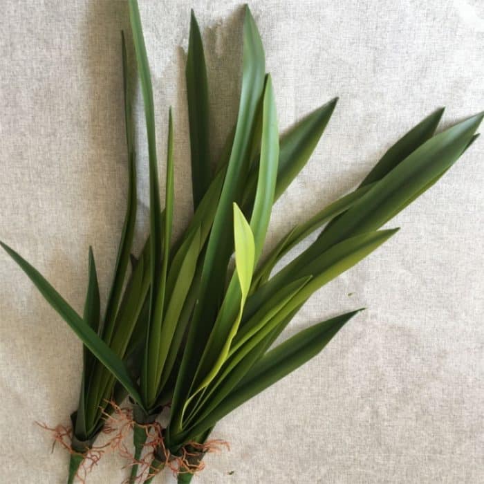 Künstliches Orchideenblatt, Blumenarrangement, DIY-Material, Simulation, Grünpflanze – Bild 3