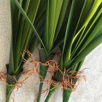 Künstliches Orchideenblatt, Blumenarrangement, DIY-Material, Simulation, Grünpflanze – Bild 5