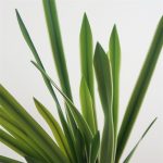 Künstliches Orchideenblatt, Blumenarrangement, DIY-Material, Simulation, Grünpflanze – Bild 6