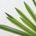 Künstliches Orchideenblatt, Blumenarrangement, DIY-Material, Simulation, Grünpflanze – Bild 7