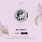 S925 Sterling Silber Perlen DIY Armband Charm Familie Hohlschmuck Zubehör – Bild 3