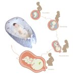 Babynestbett, tragbares, abnehmbares und waschbares Kinderbett, Reisebett, Baumwollwiege für Kinder, Kleinkinder – Bild 6