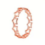 2 Stück Vintage-Titanstahl-Hohlring mit fünfzackigem Stern