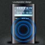 R06 Kleine FM/AM-Zeiger-Frequenzanpassungsradios mit Antennentaschen-Retroradio, R06 – Bild 3