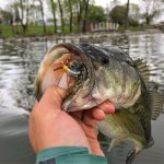 Köder, gefälschte Ködernaben, rotierende zusammengesetzte Pailletten, Lärm, Süßwasser, Seefischen, verzogener Mund, Welsköder, 90mm A, 90mm B, 90mm C, 90mm D, 90mm E – Bild 6