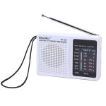 BAIJIALI BJL228 Retro tragbares Zweiband-FM-AM-Radio mit eingebautem Lautsprecher, BJL228 White, BJL228 Black