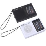 BAIJIALI BJL228 Retro tragbares Zweiband-FM-AM-Radio mit eingebautem Lautsprecher, BJL228 White, BJL228 Black – Bild 2