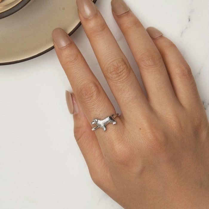 SCR952-E Ring aus S925-Sterlingsilber mit niedlichem kleinen Golden Retriever-Welpen – Bild 7