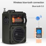 HanRongda HRD-700 Vollband-Bluetooth-MP3-Play-Radiosenderspeicher, mechanisches Tuning-Radio, HRD-700 – Bild 11