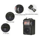 HanRongda HRD-700 Vollband-Bluetooth-MP3-Play-Radiosenderspeicher, mechanisches Tuning-Radio, HRD-700 – Bild 7