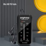 SH-05 Mini-Hörtest. Spezielles Pin-Typ-FM/AM-Zweibandradio mit Clip auf der Rückseite – Bild 2