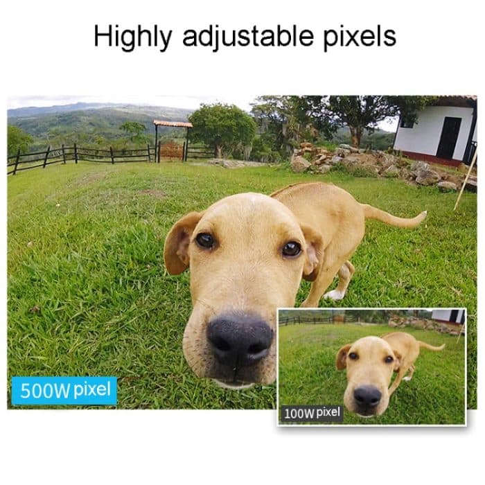 Teslong NTC125 5M 3-in-1-USB-Telefon-Endoskop für die Autoreparatur 500W Pixel-Autofokus – Bild 8