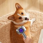 Für Dyson V7 V8 V10 V11 Staubsauger Haustierbürstenkopf, 2 In 1 Set, 3 In 1 Set, 7 In 1 Set – Bild 2