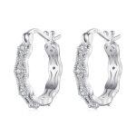 S925 Sterling Silber Platin-Überzogene Spitze Ohrringe Elegante Zirkon Ohrringe