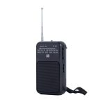 W-209 Mini Tragbares wiederaufladbares/batteriebetriebenes Dual-Mode-Zeiger-FM-Radio mit Taschenlampe