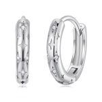 S925 Sterling Silber Intarsien mit Zirkon Vierzackigen Stern Ohrringe