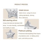 S925 Sterling Silver Platinum-Plated Five-Pointed Star Beads – Bild 5