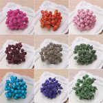 80PCS 12mm Simulation Beere Frost Rot Kleine Frucht Schaum Beere DIY Zubehör Blumen Arrangement Material – Bild 4