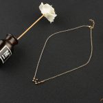 Mode Zirkon Anhänger Sternzeichen Wächter Halskette kurze Schlüsselbeinkette – Bild 7