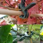 5 Sets Kunststoff-Pflanzen-Gartenklammer-Set, 5 Sets – Bild 5