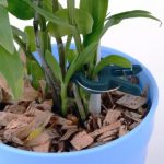 5 Sets Kunststoff-Pflanzen-Gartenklammer-Set, 5 Sets – Bild 6