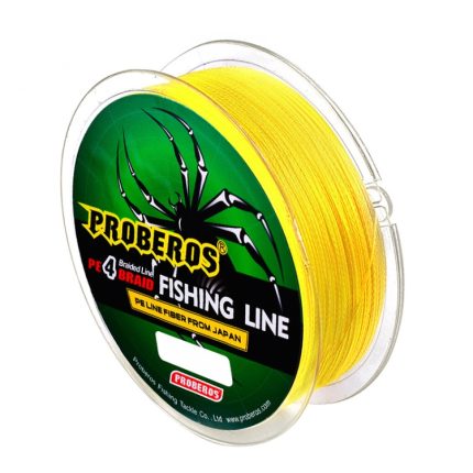2 Stück PROBEROS 4 Edited 100 m starke Pferdefischschnur, 2.5 / 30LB