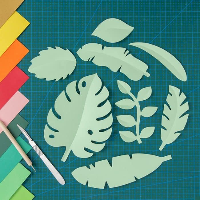 TBD0602925501A.jpg Fotografie-Requisiten mit aus Papier geschnittenen Blattornamenten – Bild 1