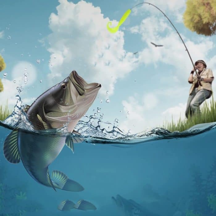 HENGJIA Soft-Dummy-Köder mit gebogenem Schwanz, Süßwasser-Angelköder, 5cm 10pcs /Pack – Bild 5