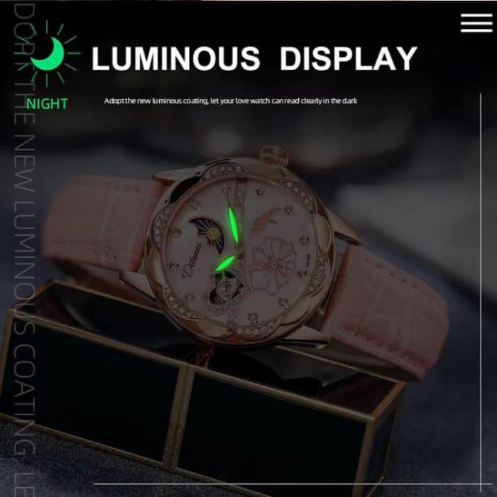 Dulunwe 6018B 30 m wasserdichte, leuchtende automatische mechanische Uhr – Bild 3