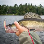 HENGJIA 6pcs / Box Outdoor Fishing Floating Soft Bait 8cm-5g Bionic False Lure, 1#, 2#, 3#, 4#, 5# – Bild 8