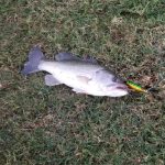 HENGJIA PE018 10 cm/13 g Propeller-Traktor-förmige harte Köder, Angelköder, Angelköder, geeignet für Salzwasser und Süßwasser, PE018 1#, PE018 2#, PE018 3#, PE018 4#, PE018 5# – Bild 7