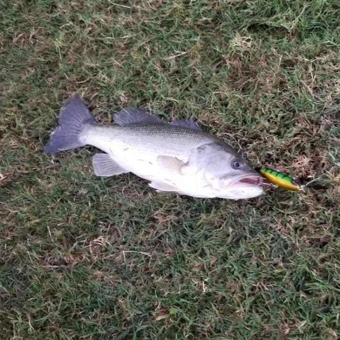 HENGJIA PE018 10 cm/13 g Propeller-Traktor-förmige harte Köder, Angelköder, Angelköder, geeignet für Salzwasser und Süßwasser, PE018 1#, PE018 2#, PE018 3#, PE018 4#, PE018 5# – Bild 7