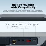 Joyroom JR-MW03 Pies Series Party-Doppelmikrofon-Bluetooth-Lautsprecher – Bild 10