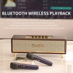 Oneder D8 Kabelloser Retro-Bluetooth-Lautsprecher mit zwei Mikrofonen – Bild 6