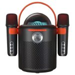 Lebo Y11 Outdoor Portable Wireless Karaoke Dual Microphone Bluetooth Speaker