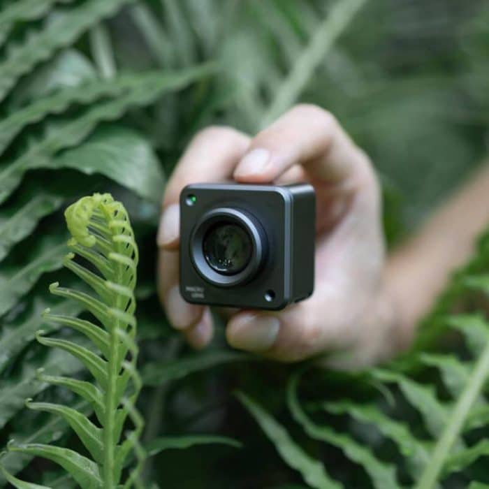 Original DJI Action 2 magnetisches Makroobjektiv für Nahaufnahmen – Bild 3