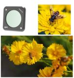 JUNESTAR Action-Kamera-Filter für DJI Action 2, Stil:, MCUV, CPL, ND4, ND8, ND16, ND32, ND64, ND1000, ND8PL, ND16PL, ND32PL, ND64PL, Macro 10X, Night, Star, CS-3IN1, CS-4in1, CS-4in1 (NDPL), CS-6IN1, CS-8in1 – Bild 5